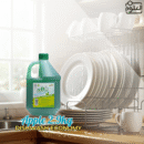 DISHWASH ECONOMY APPLE 2.9KG