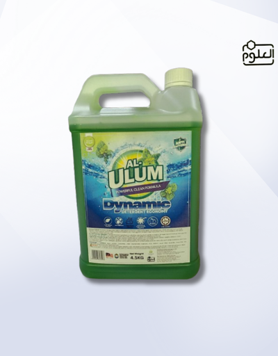 DYNAMICS DETERGENT ECONOMY 4.5KG